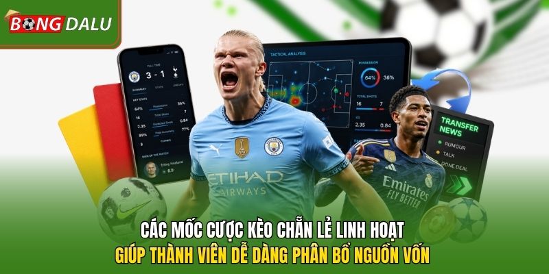 Các mốc cược kèo chẵn lẻ linh hoạt giúp thành viên dễ dàng phân bổ nguồn vốn