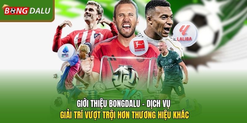 Giới thiệu Bongdalu - Dịch vụ giải trí vượt trội hơn thương hiệu khác