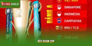 Kèo Asian Cup - 3 Bí Quyết Bongdalu Soi Kèo Châu Á Bất Bại