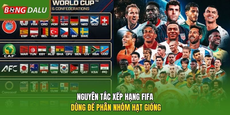 Nguyên tắc xếp hạng FIFA dùng để phân nhóm hạt giống