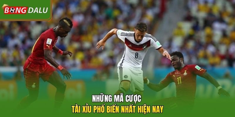 Những mã cược tài xỉu phổ biến nhất hiện nay