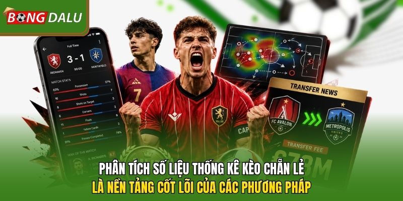 Phân tích số liệu thống kê kèo chẵn lẻ là nền tảng cốt lõi của các phương pháp